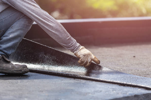 Professional Interior Drainage System technician working in Muir, MI